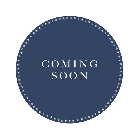 Blue Parsley Travel Bag