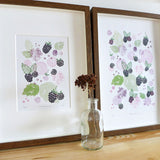 'Blackberries' A4 Wall Art Print