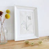Snowdrop Embroidered Picture