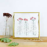 Sedum Stems Embroidered Picture